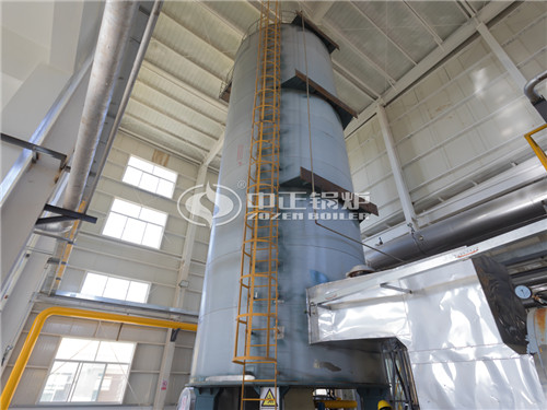 500萬大卡燃?xì)鈱?dǎo)熱油鍋爐成功案例項目